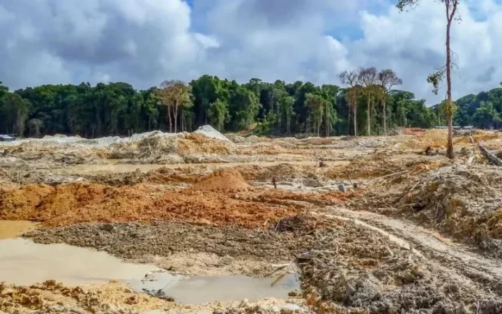 The role of mining companies in the development of local communities