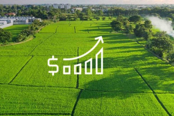 سرمایه گذاری با 50 میلیون تومان از طریق خرید متری ملک