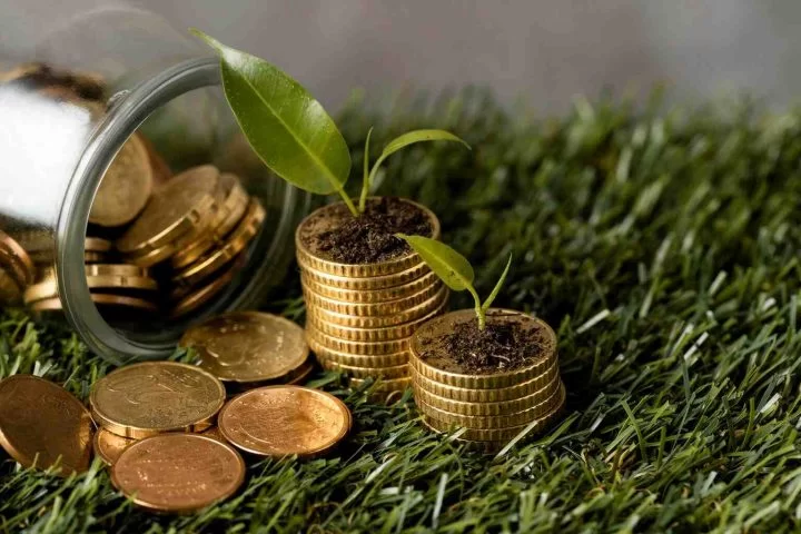 بهترین و کم ریسک ترین سرمایه گذاری