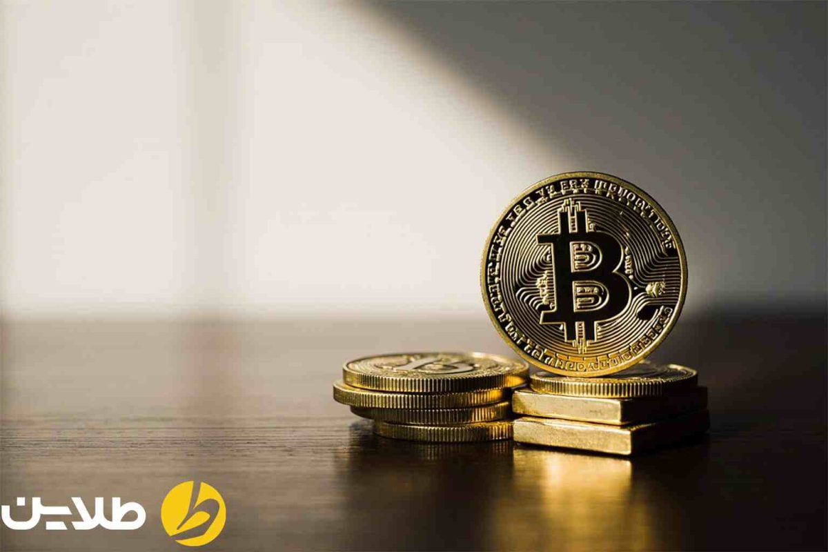 رشد بیت کوین
