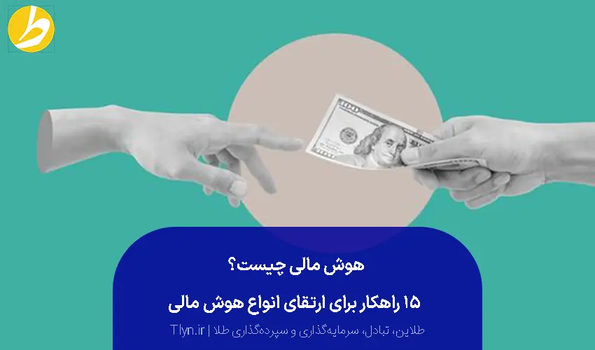 هوش مالی چیست