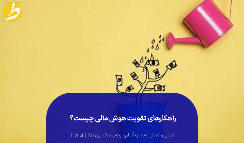۱۵ راهکارهای تقویت هوش مالی