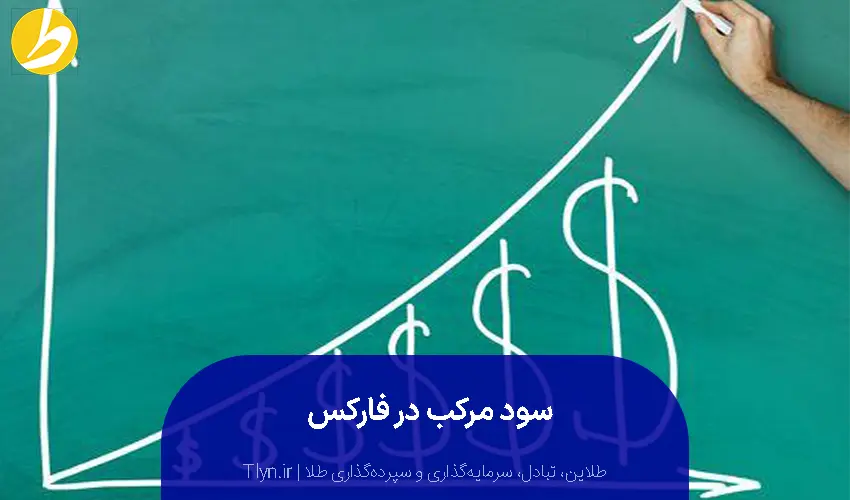 سود مرکب در فارکس