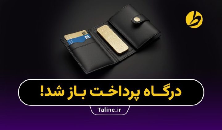 درگاه پرداخت طلاین