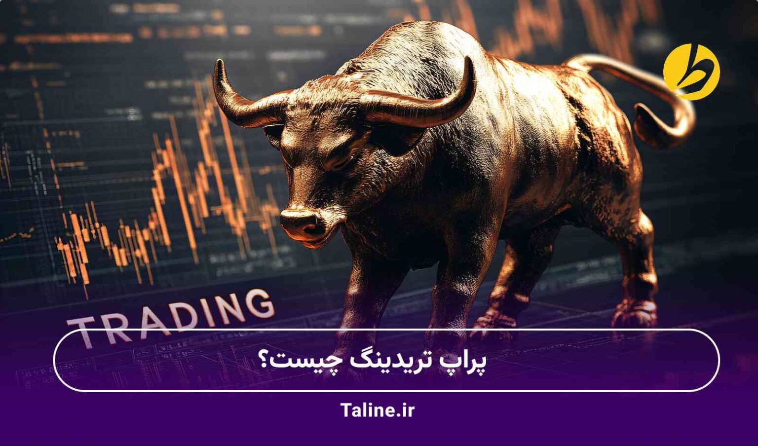 پراپ تریدینگ چیست؟