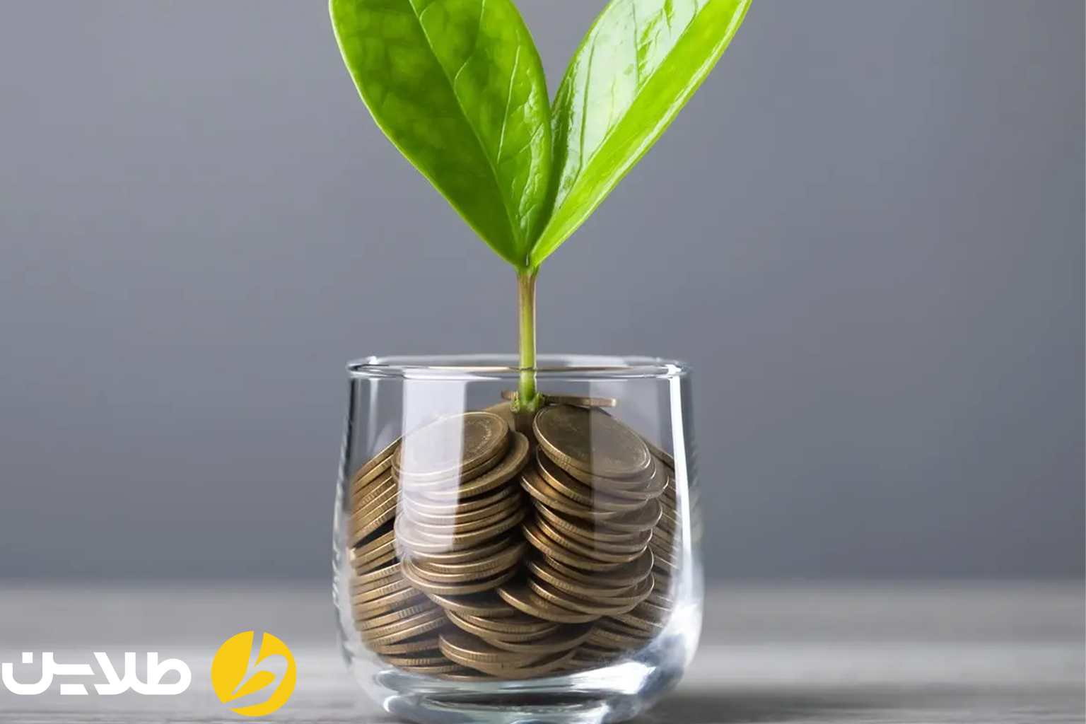 نمونههای بینالمللی سرمایهگذاری خطرپذیر سنتی