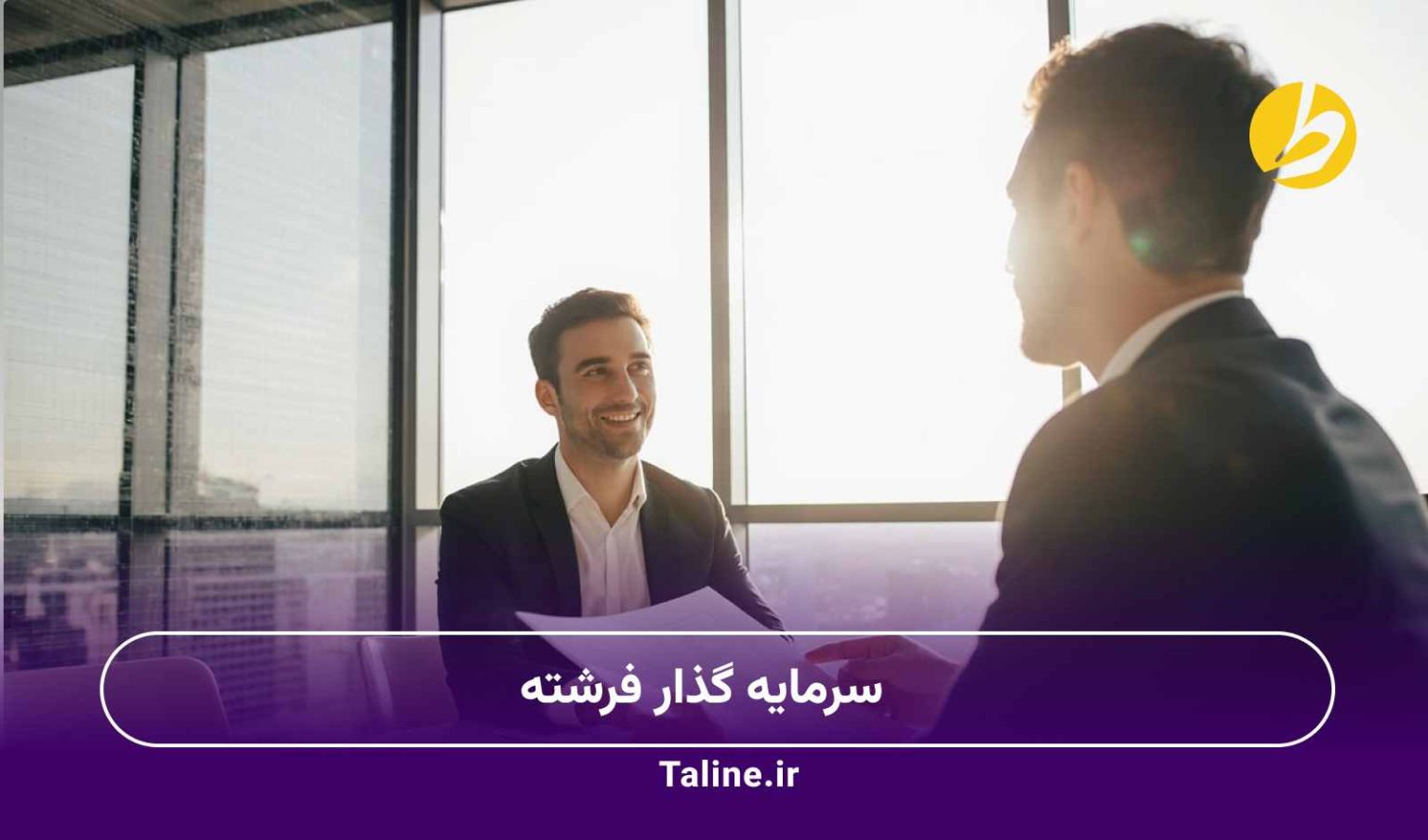 سرمایه گذار فرشته