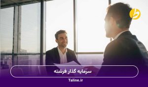 سرمایه گذار فرشته