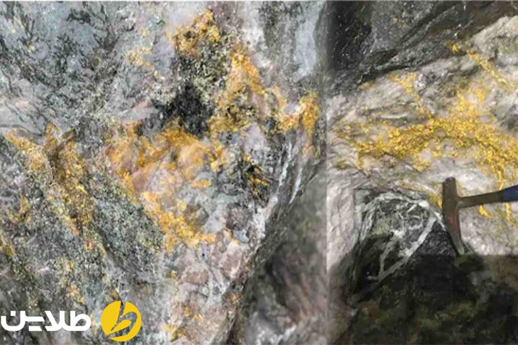 انواع کانسارهای طلا