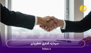 سرمایه گذاری خطرپذیر