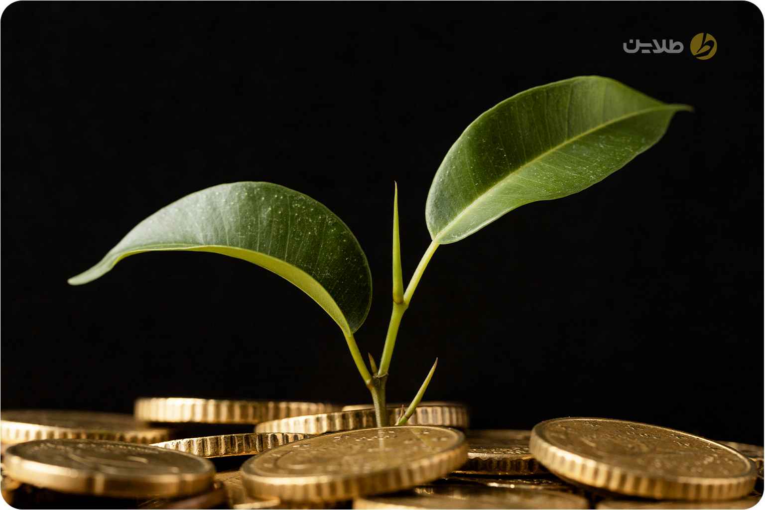 بهترین سرمایه گذاری‌ها در ایران